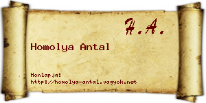 Homolya Antal névjegykártya